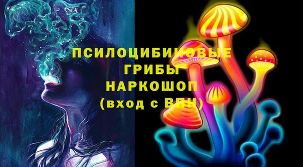 гидропоника Куйбышев