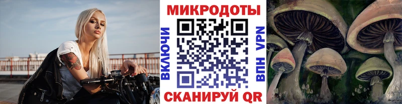 Галлюциногенные грибы мицелий Южно-Сахалинск