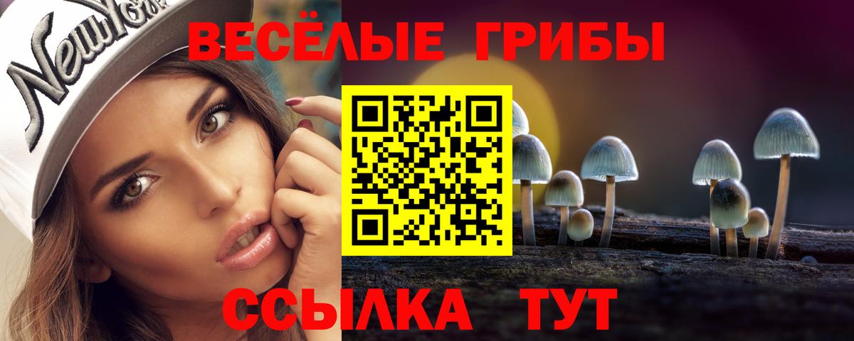 Псилоцибиновые грибы MAGIC MUSHROOMS  Вход с VPN  Южно-Сахалинск 